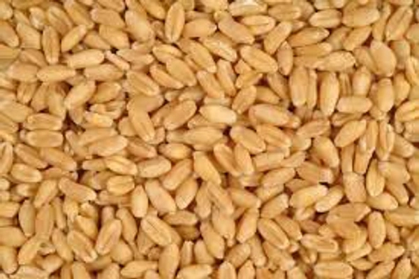 Wheat  - 1kg