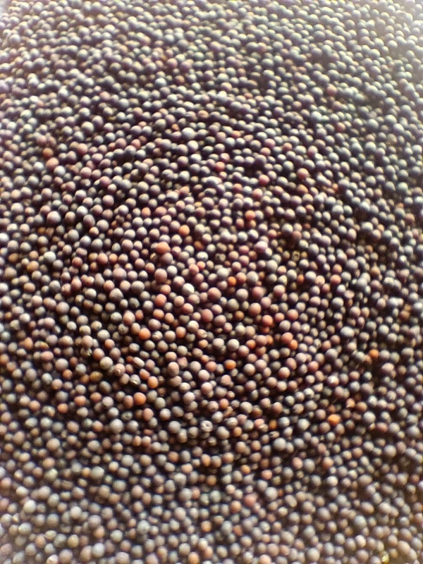 Rai  - 100g