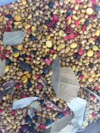 Daniya Masala Mix - 100g