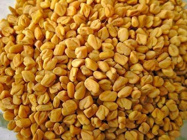 Fenugreek Seeds - Methi  - 100g