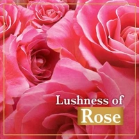 Lux Rose & Vitamin E Soft Glowing Skin Soap  - 100g