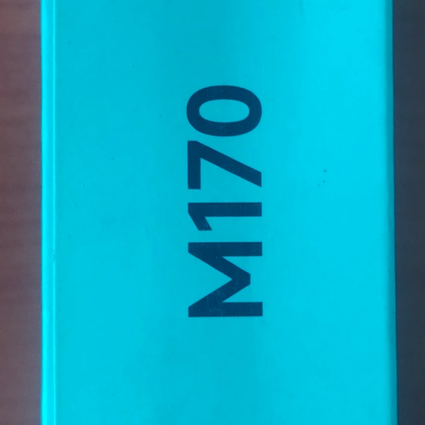 LOGITECH M170 (Wirless Wifi Mouse)