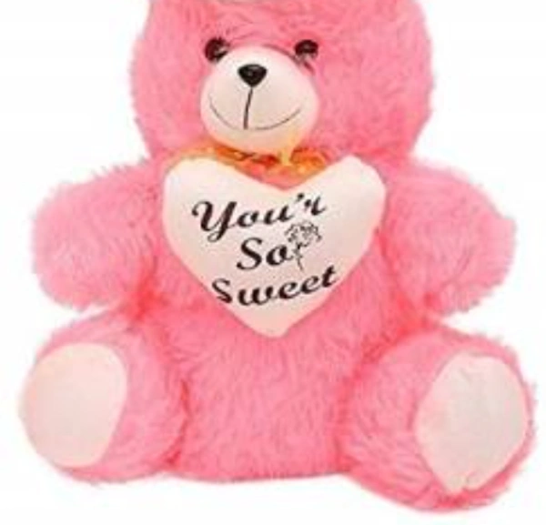 TEDDY SOFT TOY (25 CM) - MULTI COLOR