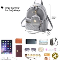 Voguish Attractive Women Backpacks