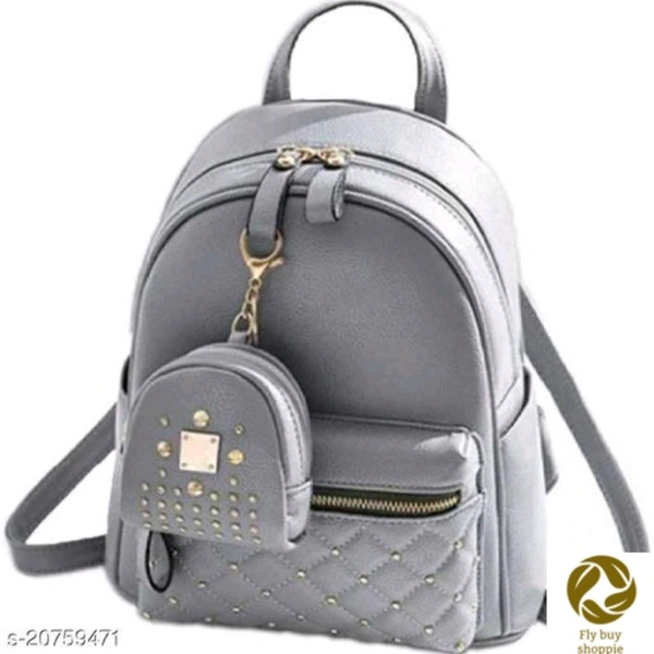 Voguish Attractive Women Backpacks