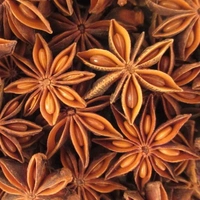 Star Anice (Chakri Phool) - 100gm