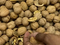 Inshell Walnut (Akhrot Magaj) - 250gm