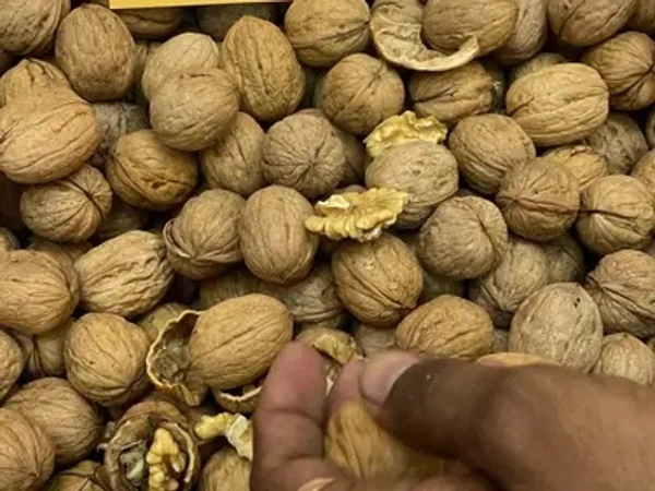 Inshell Walnut (Akhrot Magaj) - 250gm