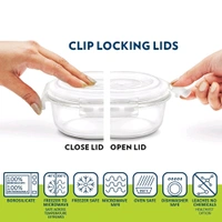 Lunch Box Borosil Foodluck Borosilicate Glass Lunch Box (Blue)