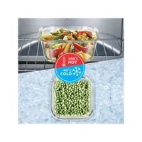 Lunch Box Borosil Foodluck Borosilicate Glass Lunch Box, Vertical (320 ml, Blue)