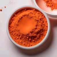 Holi Gulal 200g Hygienically Hand-Made Herbal Gulal Gift Skin Friendly - Non-Toxic Holi Colors - Eco Friendly - Easy to Washable - Organic Gulal Powder - Web Orange