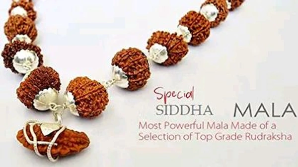 Feel Touch Mart 1 to 14 Mukhi 1to14 Lord Shiva Blessing sarva siddha mala Pendant Nepal Rudraksha Original Rudraksha Mala 1se14 Mukhi Rudraksha Mala Natural Nepali A1 Bead With Gauri Shankar & Ganesha Certiifed - 14 Mukhi Rudraksha.