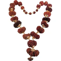 Feel Touch Mart 1 to 14 Mukhi 1to14 Lord Shiva Blessing sarva siddha mala Pendant Nepal Rudraksha Original Rudraksha Mala 1se14 Mukhi Rudraksha Mala Natural Nepali A1 Bead With Gauri Shankar & Ganesha Certiifed - 14 Mukhi Rudraksha.
