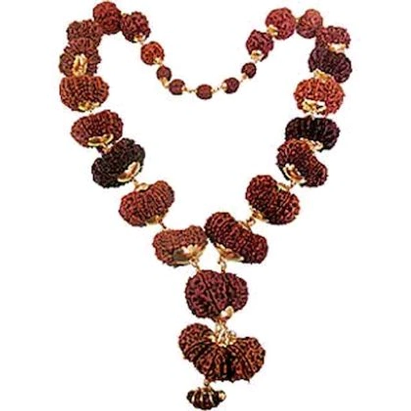 Feel Touch Mart 1 to 14 Mukhi 1to14 Lord Shiva Blessing sarva siddha mala Pendant Nepal Rudraksha Original Rudraksha Mala 1se14 Mukhi Rudraksha Mala Natural Nepali A1 Bead With Gauri Shankar & Ganesha Certiifed - 14 Mukhi Rudraksha.