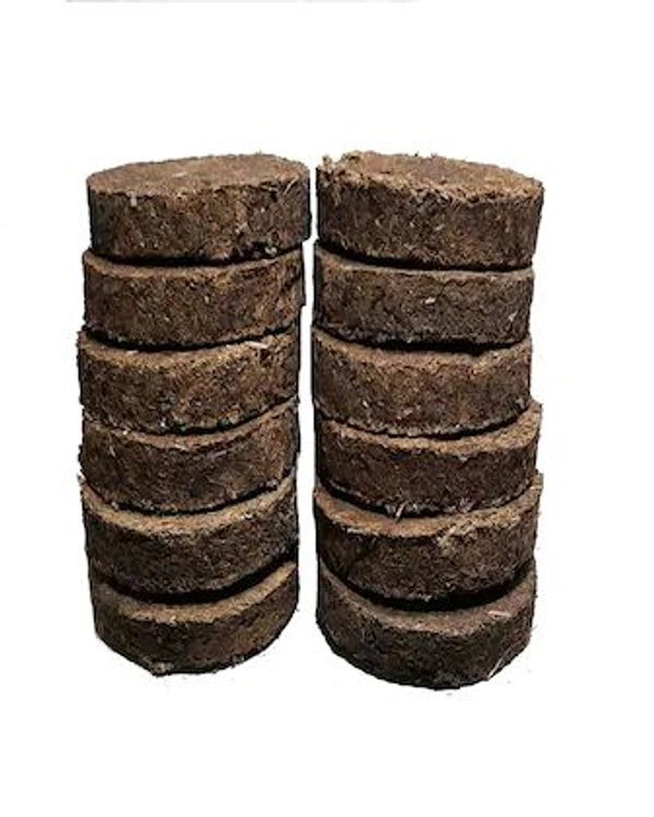 Cow Dunk Cakes, (8 x 2 x 2 cm) - 8 x 2 x 2 cm