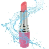 Lipstick Vibrator 
