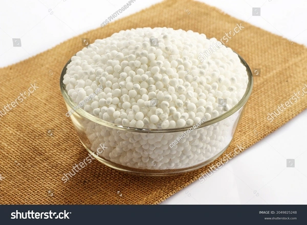Royal Sabudana/Sago - White Medium, 1KG - 1KG