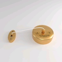ANAMIKA Anamika Gold Round Retractable Clothesline — 9ft Lockable & Weatherproof! - Gold