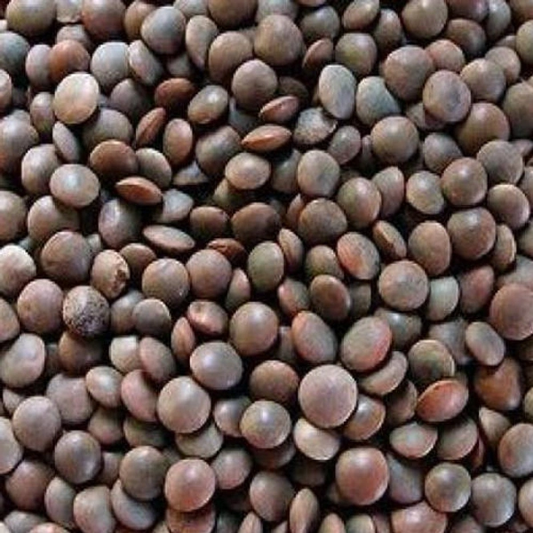Kala Masur Dal - 500g
