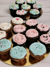 Chocolate Cupcakes  - 6