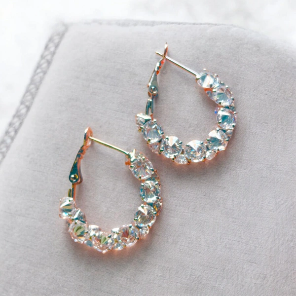 S242 Circle Of Diamonds Earrings - Silver
