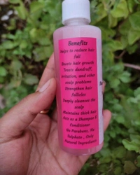 Onion 2 in 1 Shampoo And Conditioner 