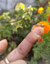 Nalpamaradi Gel