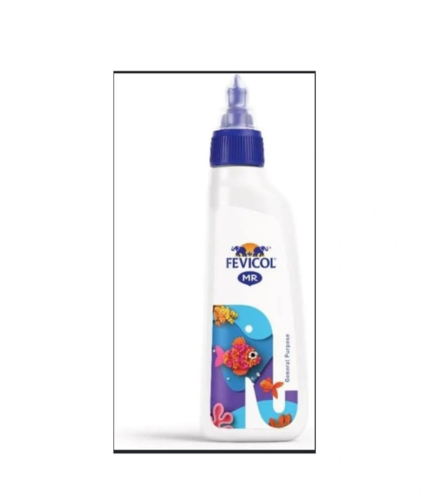 Fevicol MR 20 GM Craft Glue 