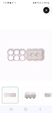 Farm Egg White Egg - 6 Pieces