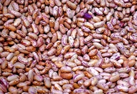 Rajma Whie 250g 