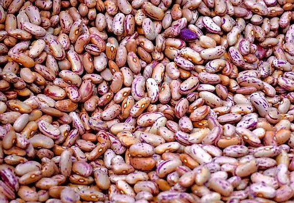 Rajma Whie 250g 