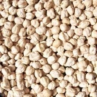 Kabuli Chana 250g 