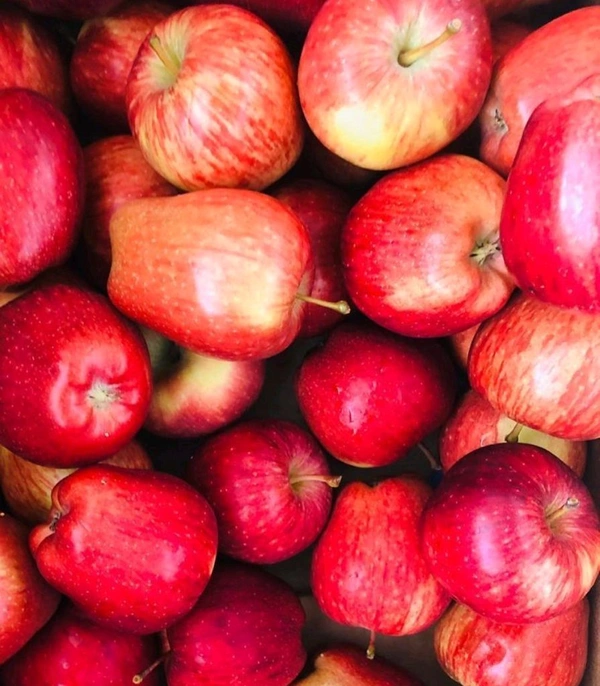 Apple Indian( Half Kg)