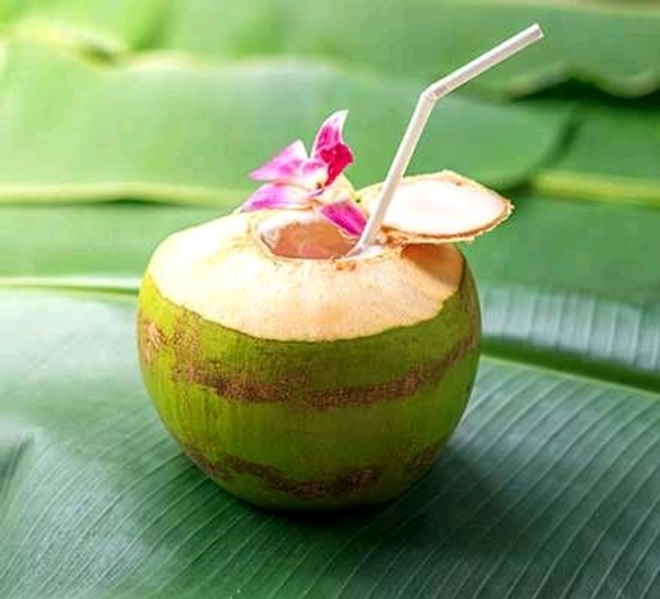 Health Benefits Of Coconut Water 