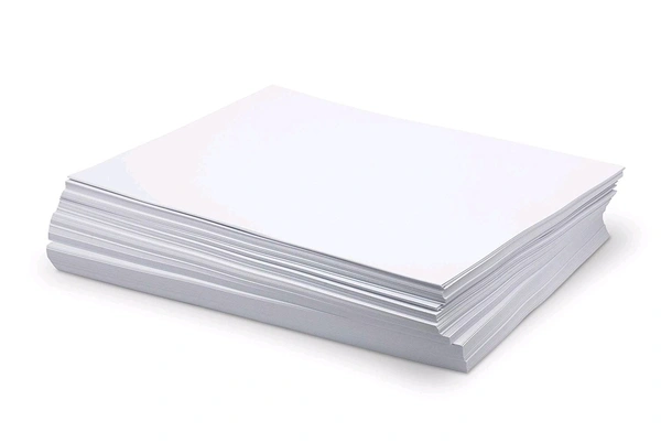 A4 Printing Paper (Set Of 10)