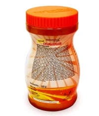 Patanjali Spical Chyawanprash - 500g