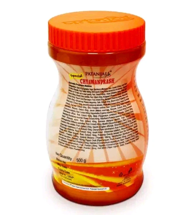 Patanjali Spical Chyawanprash - 500g