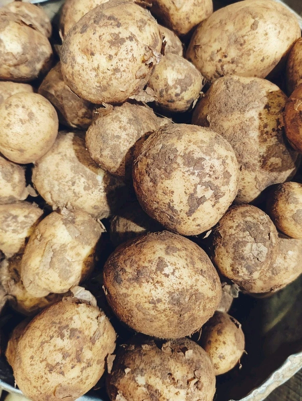 New Potato - 1kg