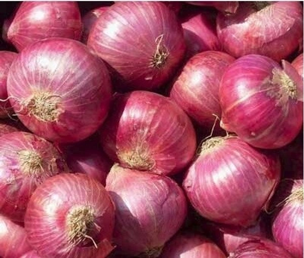 Fresh Onions Vesitable  - 0, 24x7, 24 h, 2kg 