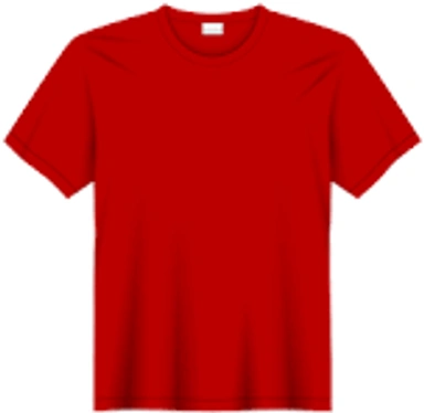 Mens T shirt