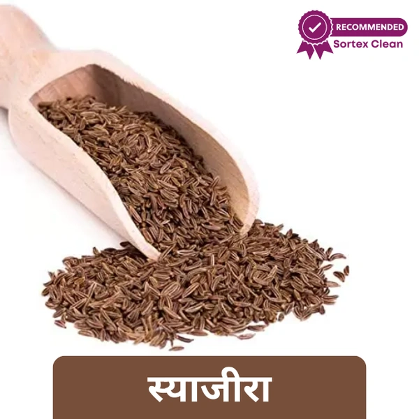 Syajeera (Shah Jeera) / Caraway Seeds (Loose)  25gm