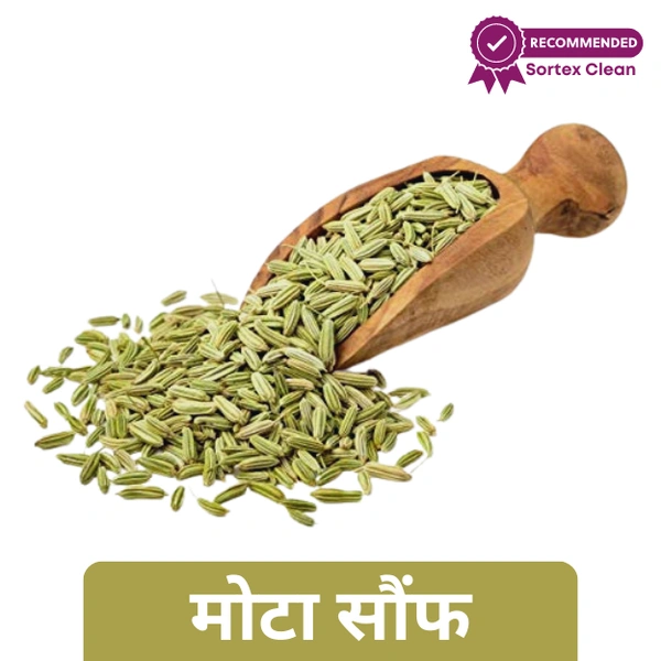 Mota Saunf Special / Thick Fennel Seeds (Loose) 100gm