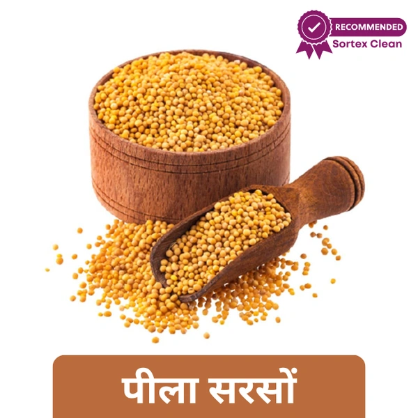Pila Sarso / Yellow Musturd Seeds (Loose)  100gm