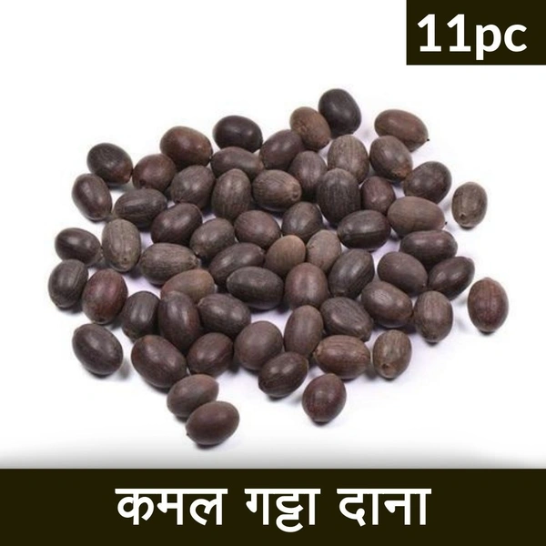 Kamal Gatta Sabut Puja Lotus seed  11pcs