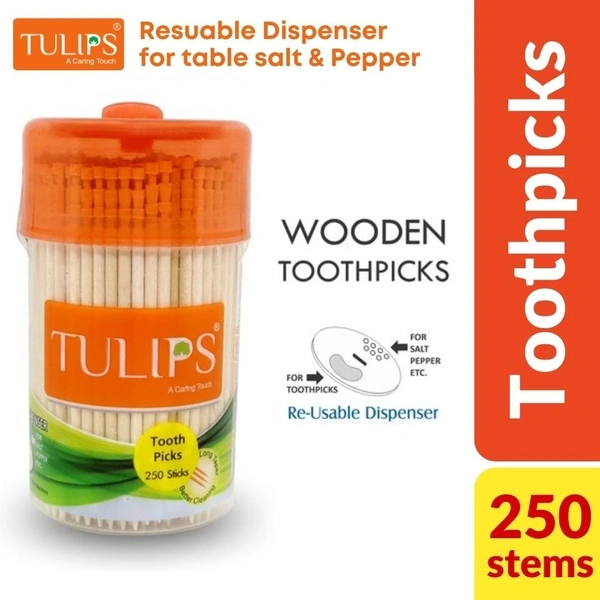 Tulips Wooden Tooth Pick  250 stems Sprinkle Jar
