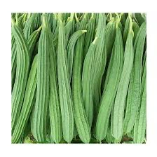 Beerakaya(బీరకాయ)