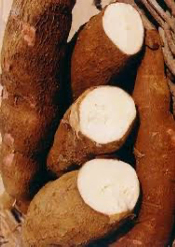 Karra Pendlam(కర్ర పెండ్లాం) - 1kg