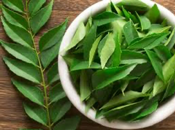 Curry Leaves(కరివేపాకు) - 1