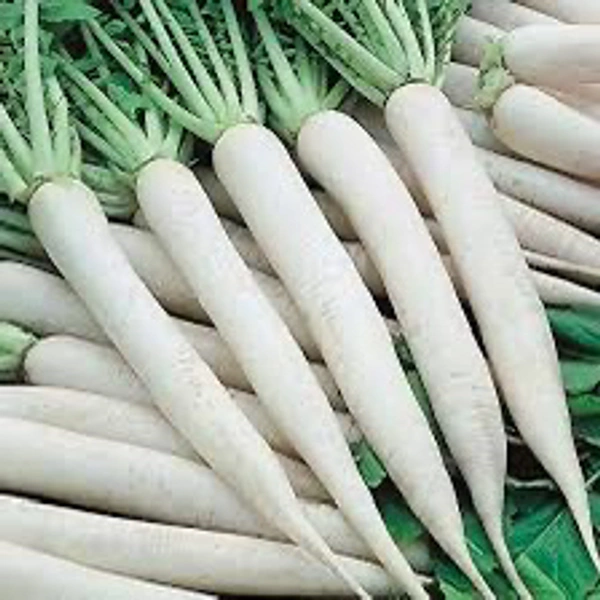 Mullangi(ముల్లంగి)