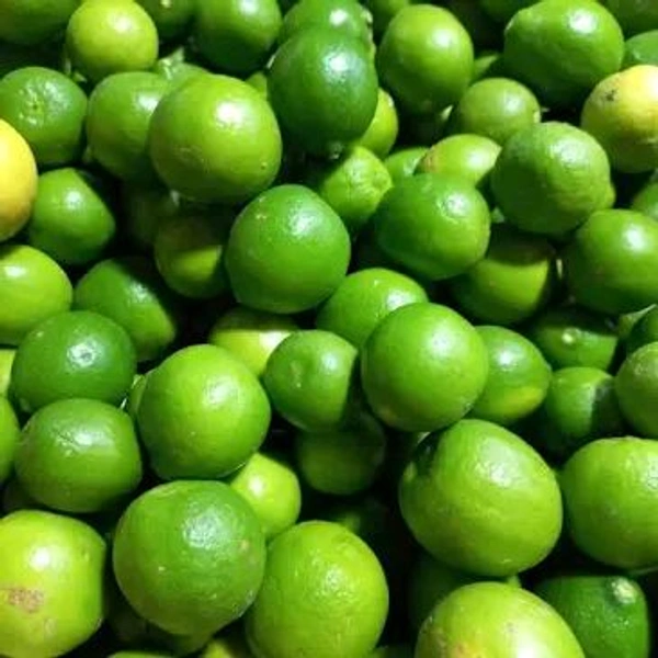 Lemons  - 5 Lemons